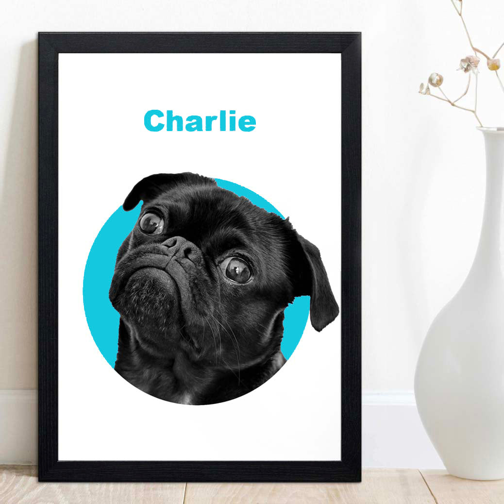 Modern Style Pet Portraits