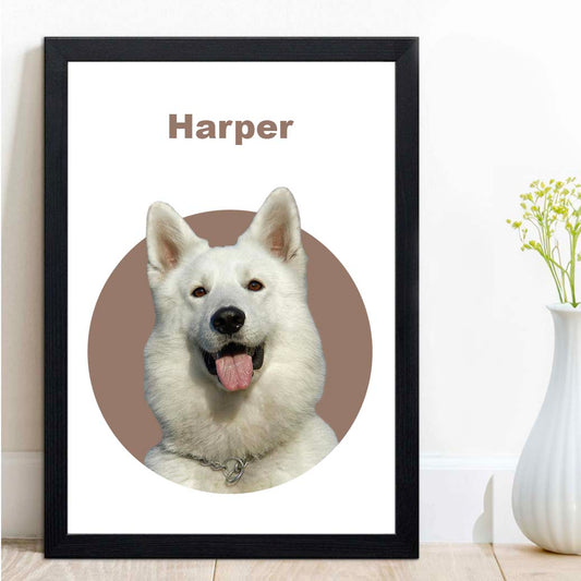 Modern Style Pet Portraits