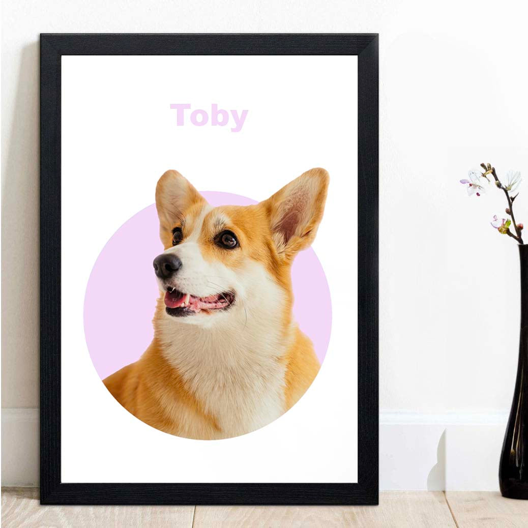 Modern Style Pet Portraits